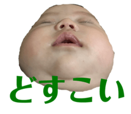 393846718