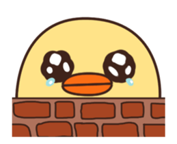 393904356