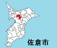 393926816