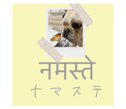 393938702