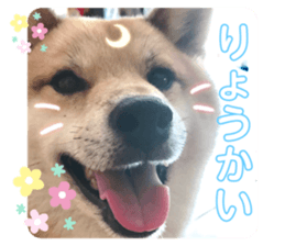 393944046