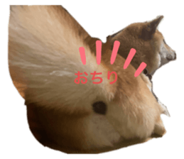 393953510