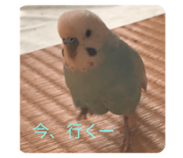 393972319