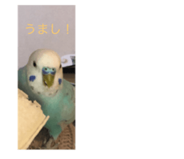 393972339
