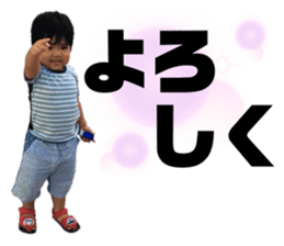 393977135
