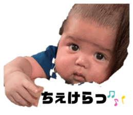 393985386
