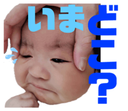 393986759