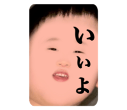 393993177