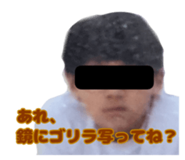 393994364