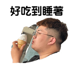 394013455