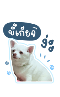 394021684