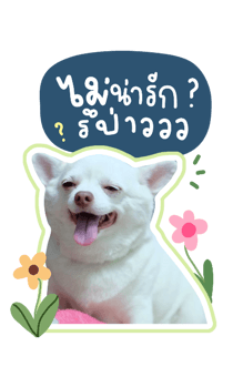394021687