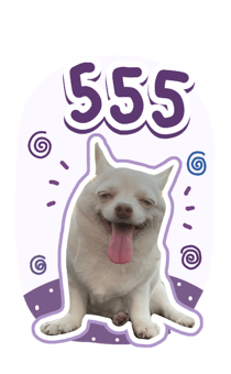 394021697