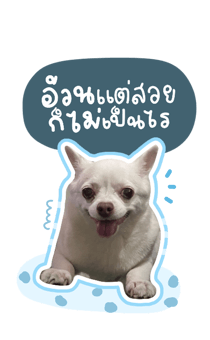 394021700