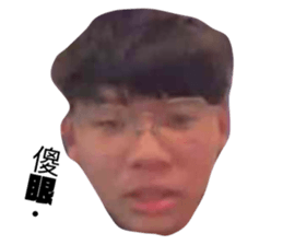 394025530