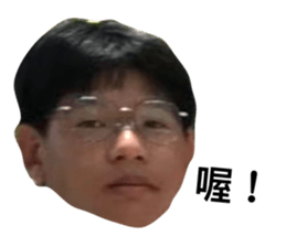 394025543