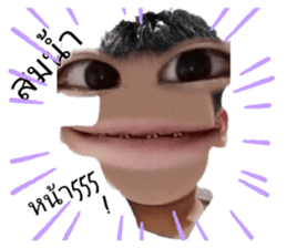 394027855