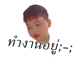 394027856