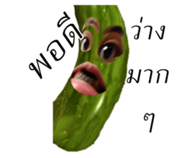 394027857