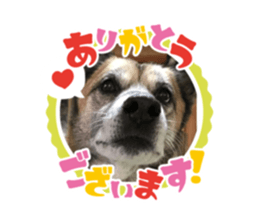 394029801