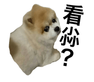 394034720
