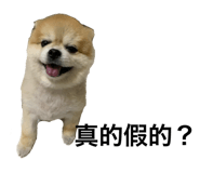 394034722