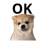 394034724