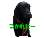 394039930