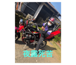 394044910