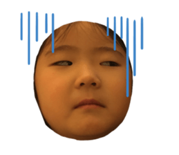 394051665
