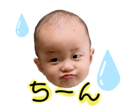 394064016