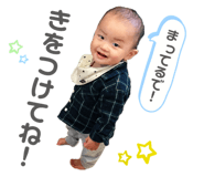 394064033