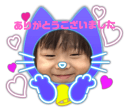 394069025