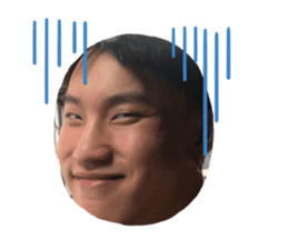 394069087
