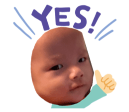 394093528