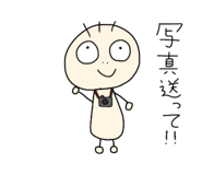 394239556