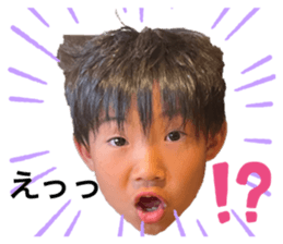 394240161
