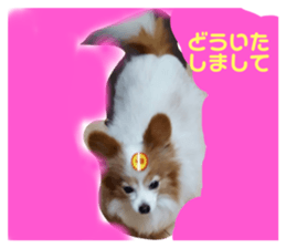 394242086