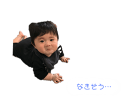394245334