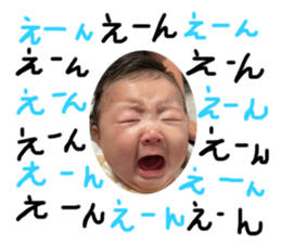 394253799