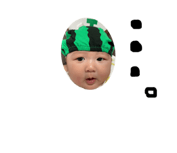 394253803