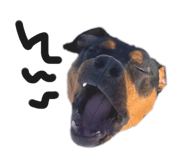 394256420