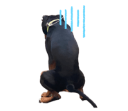 394256431