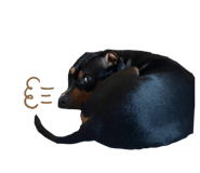 394256440