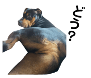 394256442
