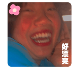 394286496