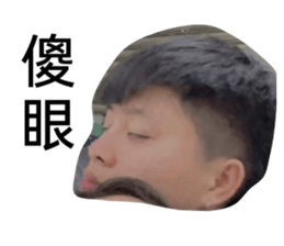 394354714