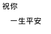 394363831