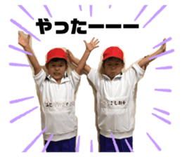 394381618