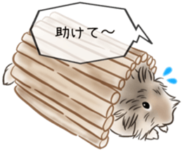 39440308